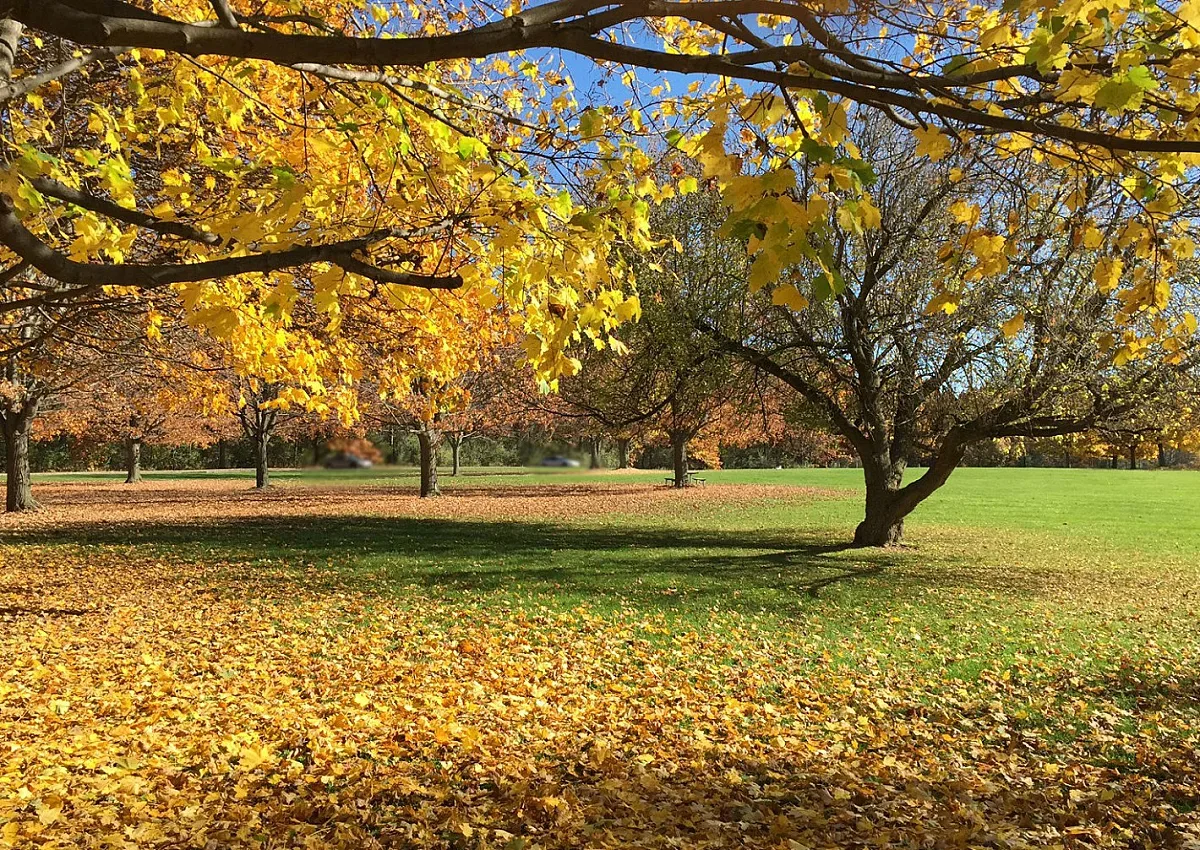 Времето се променя, какво вещаят синоптиците за деня на вота