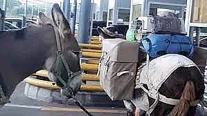 Това е краят! Как се влиза светкавично в Турция