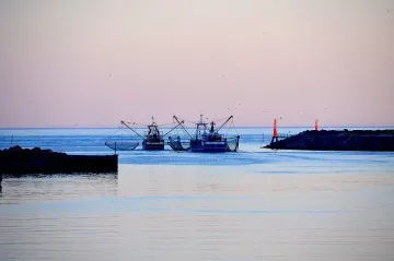 Шок! Откриха опасен хищник в Черно море