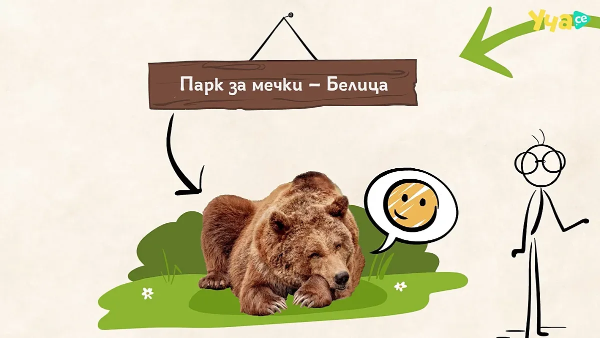 Кафявите мечки и ПАРК ЗА МЕЧКИ - Белица са на фокус в третото видео на ЧЕТИРИ ЛАПИ и Уча.се