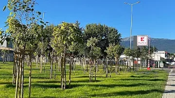 Kaufland изгради парк с над 300 нови дървета в кв. „Горубляне“