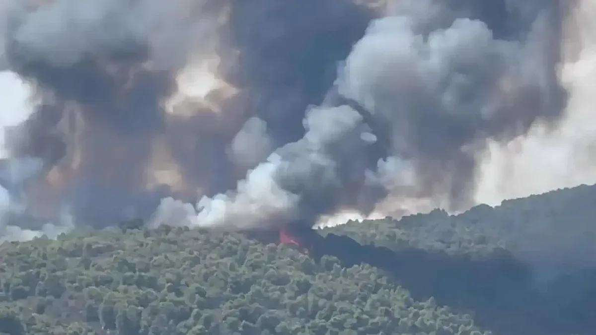 Страшна драма за туристите в Халкидики