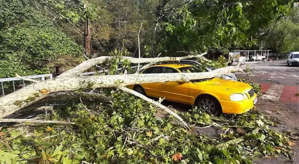 Ураган помете и Бачково. Страшни снимки