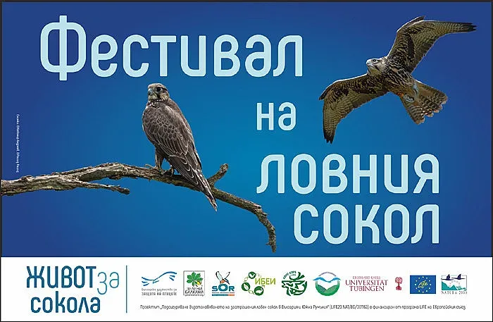 В Малко Кадиево организират традиционния Фестивал на ловния сокол
