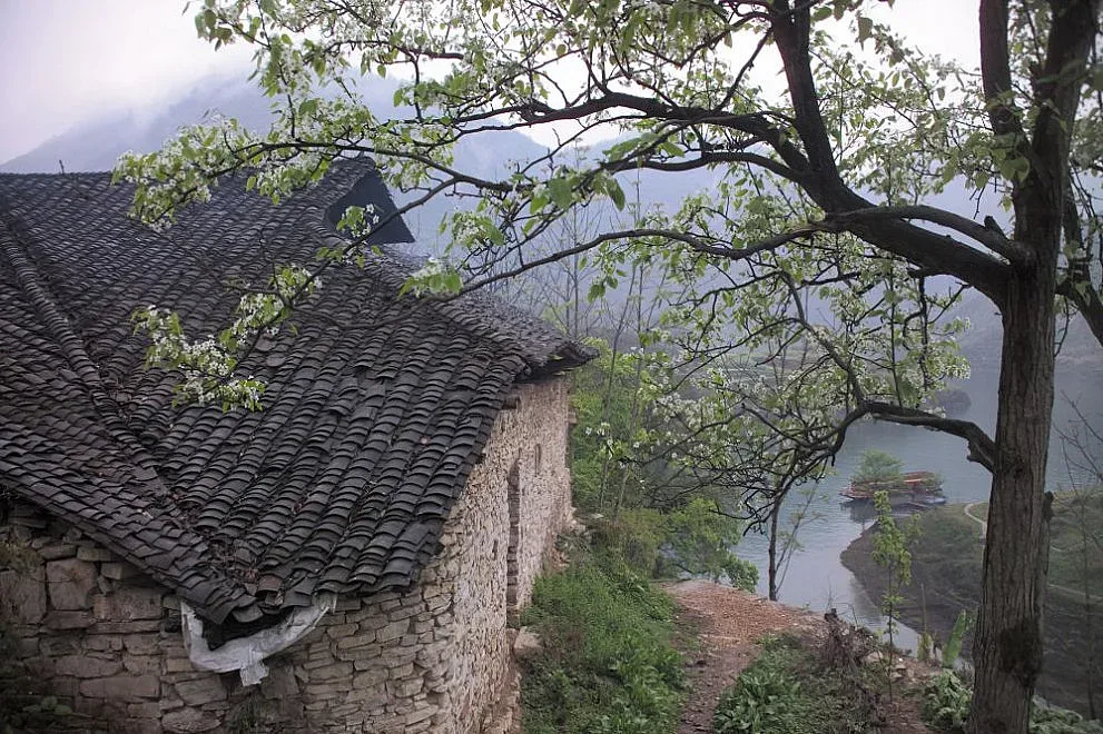 Изчезваме. Страшни цифри