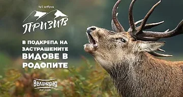 Редица животински видове в Родопите са пред изчезване