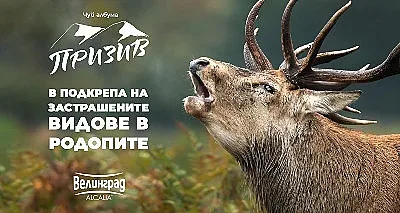 Редица животински видове в Родопите са пред изчезване