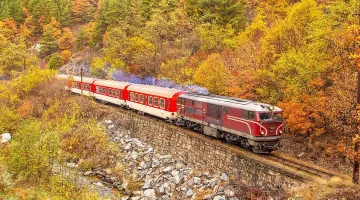 Голяма новина за родопската теснолинейка, уникална забележителност