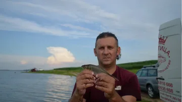 Първа версия за мъртвата риба в Марица