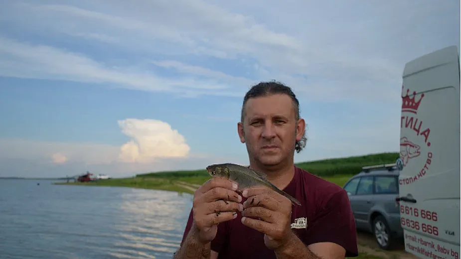 Първа версия за мъртвата риба в Марица