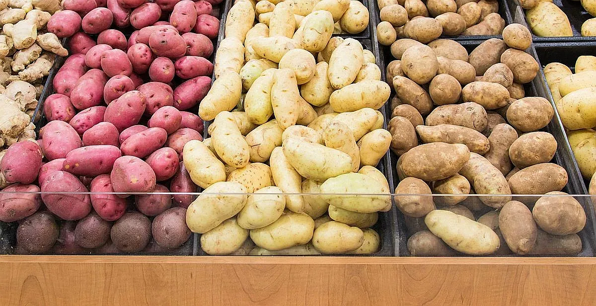 Разкриха как е пробил картофът до трапезата. Тайната