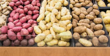 Разкриха как е пробил картофът до трапезата. Тайната