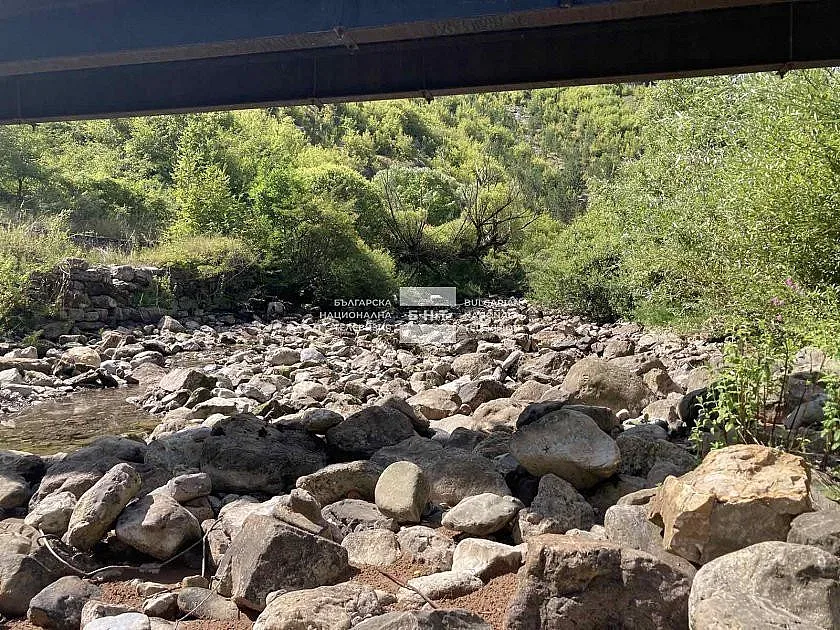 Потресаващо! Извозват тонове мъртва риба