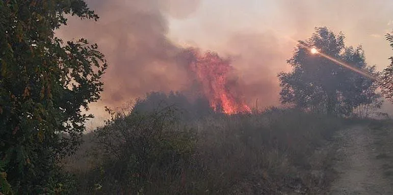 Подбалканският път затворен, ето какво причинило пожара край Казанлък