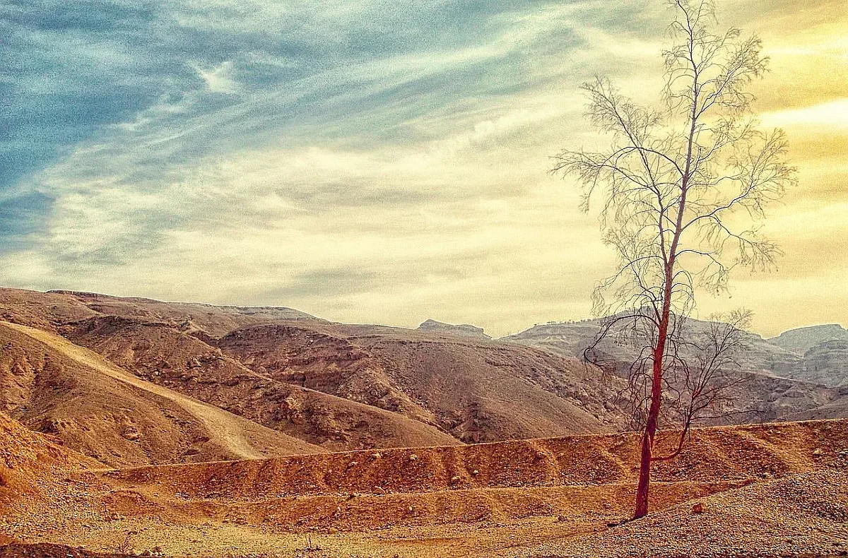 Става още по-горещо, синоптиците с плашеща прогноза