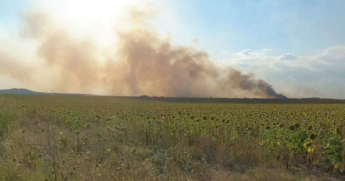 Бедствено положение! Огненият ад и борбата с него продължават