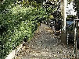 Внимание! Нова схема за обир на апартаменти