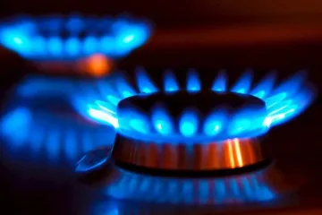 Защо ги ручаме жабетата с газа