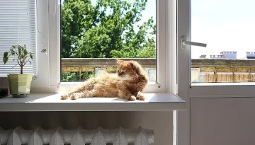 Предстои най-горещият ден, възможни са температурни рекорди