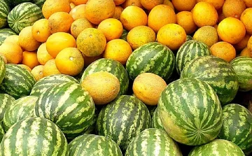 Дините и пъпешите са опасни! За кого