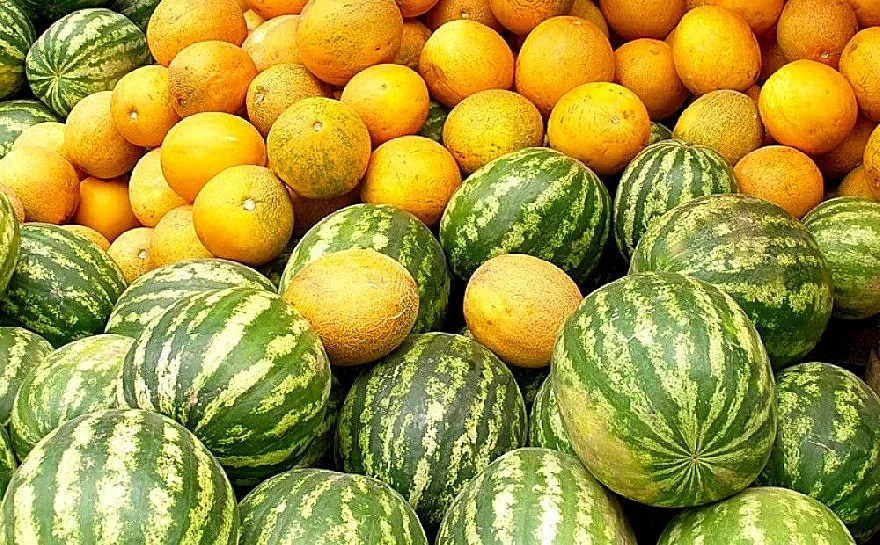 Дините и пъпешите са опасни! За кого